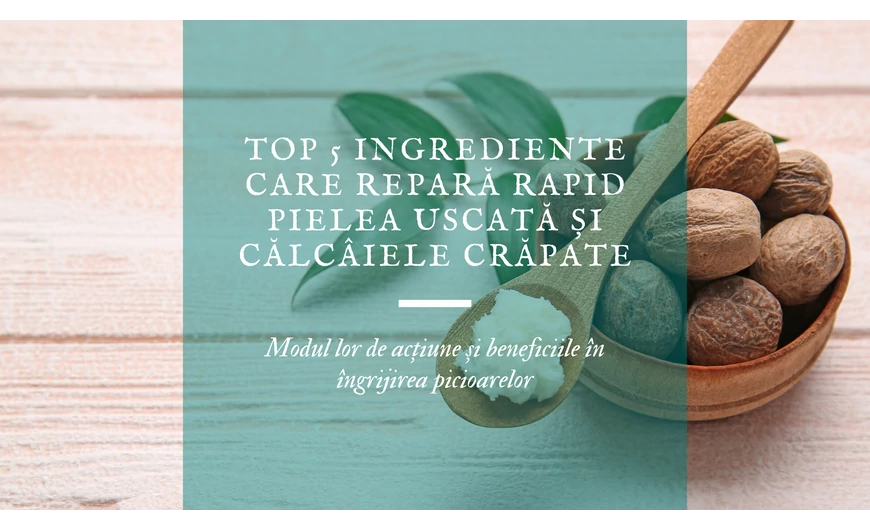 Top 5 ingrediente care repară rapid pielea uscată și călcâiele crăpate